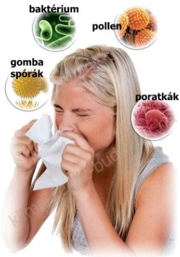 Klíma tisztítás karbantartás Pécs és környéke Klíma tisztítás karbantartás Pécs és környéke